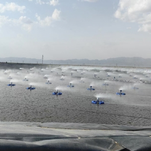 漂浮式機械霧化蒸發器
